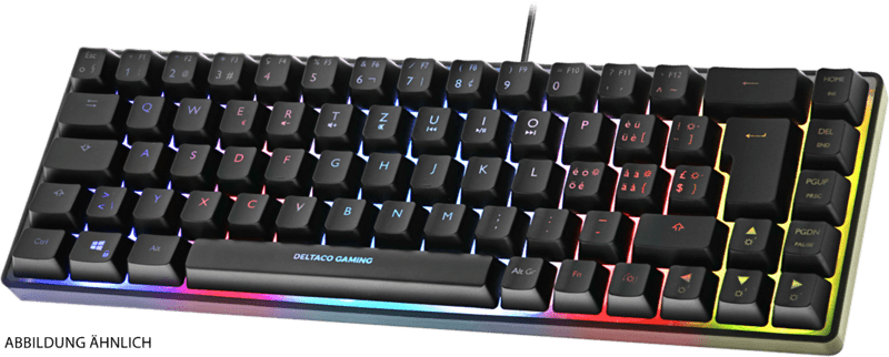 Deltaco DK240 mini 60% Gaming Tastatur semi-transparent