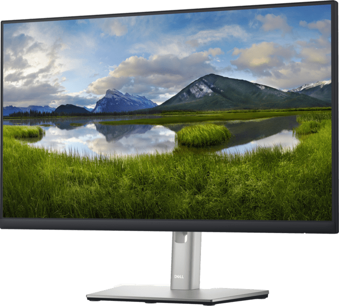 DELL P2422H 23,8" FHD Monitor