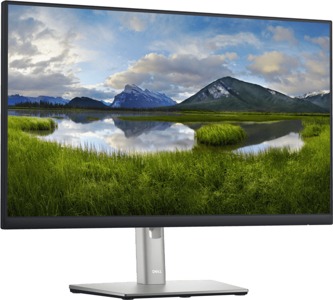 DELL P2422H 23,8" FHD Monitor