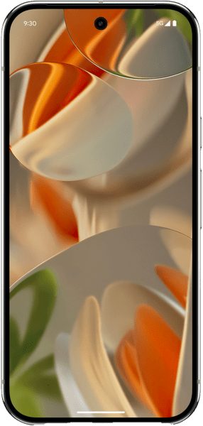 Google Pixel 9 Pro 256GB porcelain