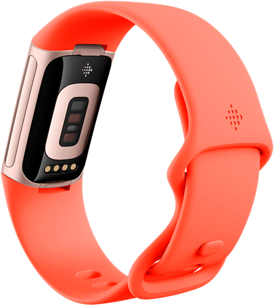 fitbit Charge 6 coral/Aluminium champagne gold