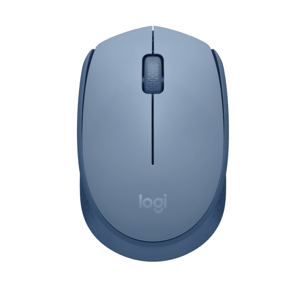 Logitech M171 schnurlose Maus blau/grau