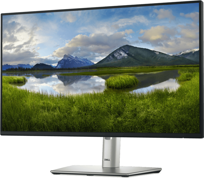 DELL P2425H 23,8" FHD Monitor