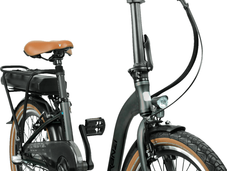 BLAUPUNKT Franzi (2024) 20" e-bike Tiefeinsteiger schwarz BLAUPUNKT Franzi (2024) 20" e-bike Tiefeinsteiger schwarz