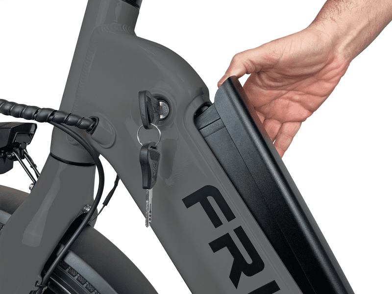 BLAUPUNKT Fridel (2024) 24" e-Bike Intube Akku grau-matt