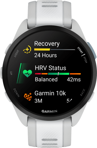 Garmin Forerunner 165 Music GPS Dunstgrau/Steinweiss Garmin Forerunner 165 Music GPS Dunstgrau/Steinweiss