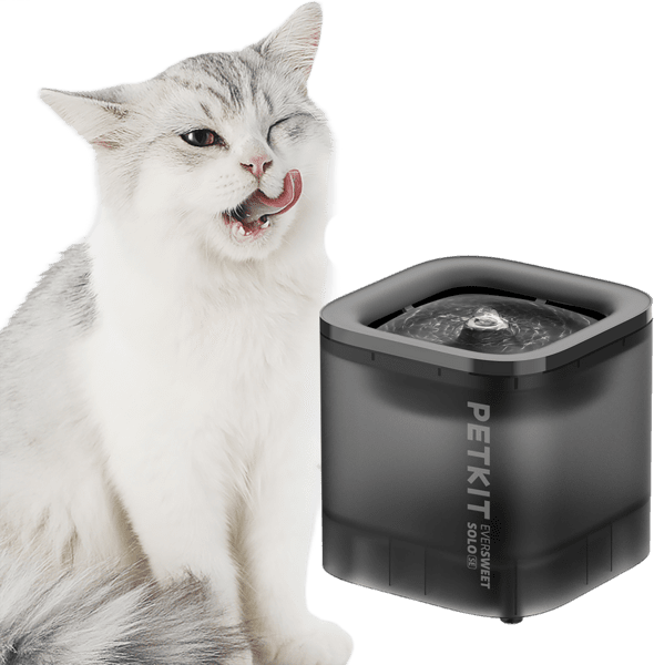 PETKIT Eversweet Solo SE Trinkbrunnen grau PETKIT Eversweet Solo SE Trinkbrunnen grau