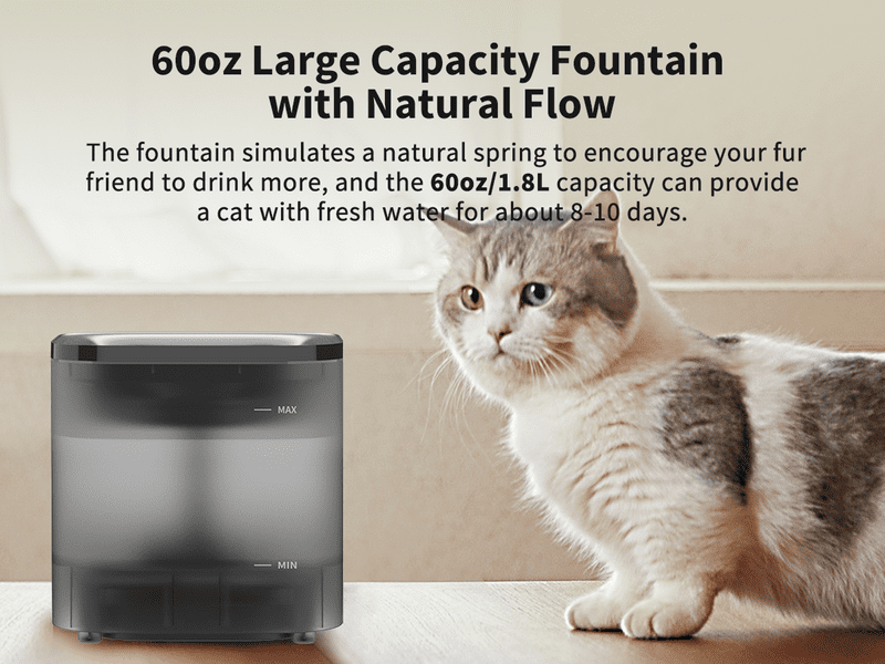 PETKIT Eversweet Solo SE Trinkbrunnen grau PETKIT Eversweet Solo SE Trinkbrunnen grau