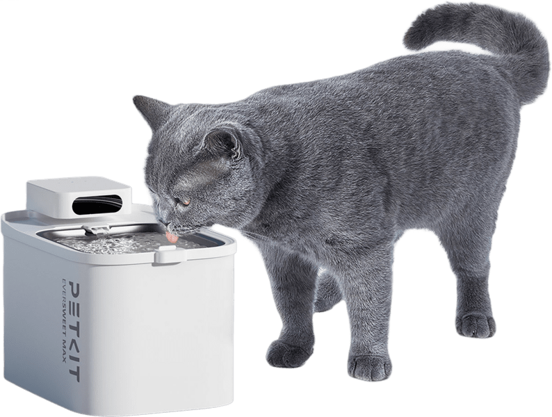 PETKIT Eversweet Max Trinkbrunnen PETKIT Eversweet Max Trinkbrunnen