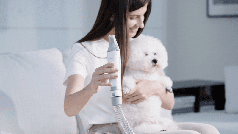 PETKIT AirClipper 5-in-1 Haustier-Pflegeset PETKIT AirClipper 5-in-1 Haustier-Pflegeset