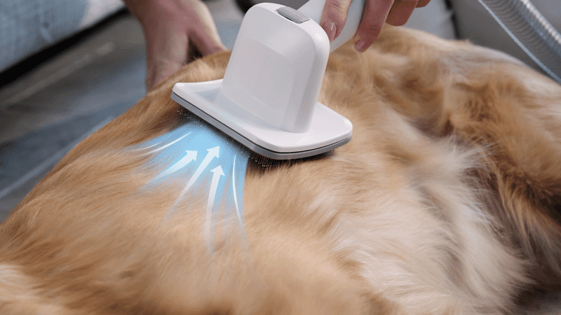 PETKIT AirClipper 5-in-1 Haustier-Pflegeset PETKIT AirClipper 5-in-1 Haustier-Pflegeset