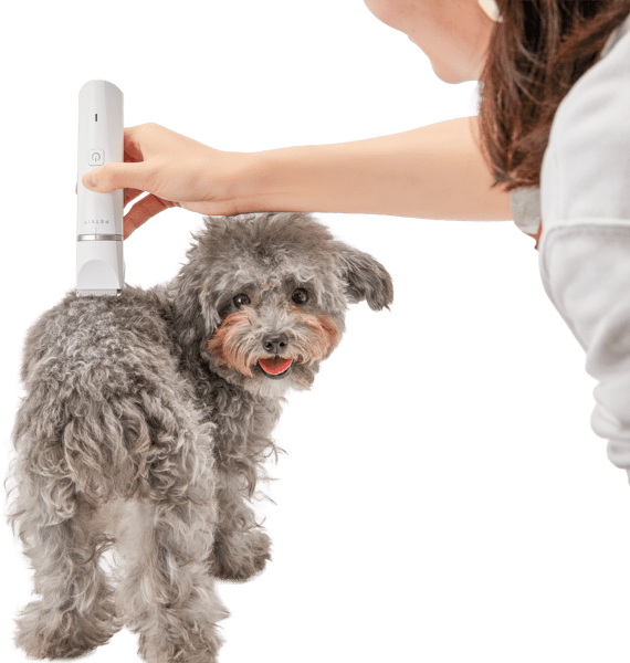 PETKIT Trimmer Pro 2-in-1 Haustier-Trimmer/Schermaschine PETKIT Trimmer Pro 2-in-1 Haustier-Trimmer/Schermaschine