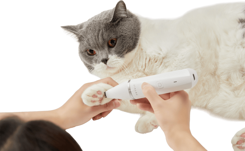 PETKIT Trimmer Pro 2-in-1 Haustier-Trimmer/Schermaschine PETKIT Trimmer Pro 2-in-1 Haustier-Trimmer/Schermaschine
