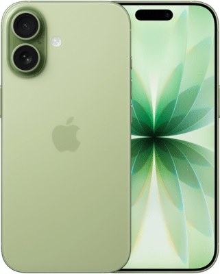 APPLE iPhone 17 256GB sage (MG6N4ZD/A)