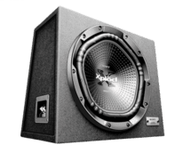 Sony XS-NW120E Subwoofer m. Gehäuse (30cm/12")