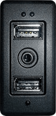 Pioneer CA-IW-KM.001V USB-AUX-Interface