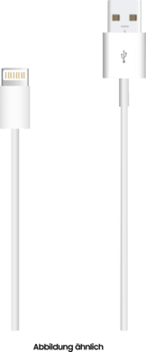 Apple Lightning auf USB-Kabel 1m