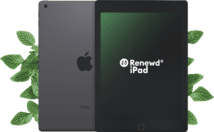 Renewd iPad 5 WiFi 32GB grau