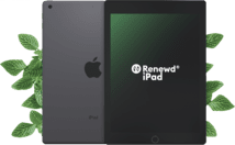 Renewd iPad 5 WiFi 128GB grau