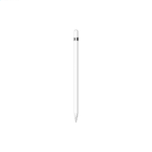 Apple Pencil 1Gen inkl. USB-C auf Apple Pencil Adapter