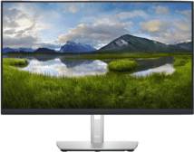 DELL P2422H 23,8" FHD Monitor