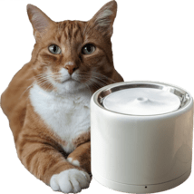 PETKIT Eversweet 3 PRO Wireless UVC Trinkbrunnen